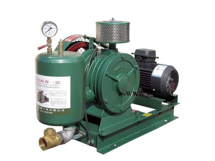 【HCC301S回转鼓风机】 体积小 风量大 噪音低 耗能省回转风机图2