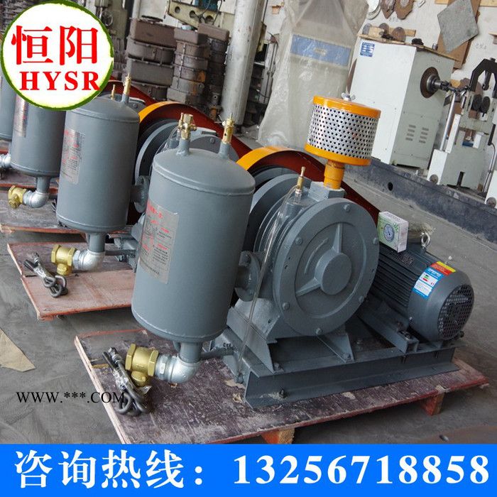 供应恒阳HYSR三叶罗茨鼓风机**价廉图2