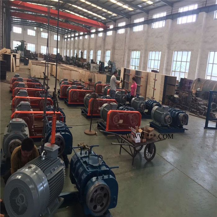 鑫沣XFSR-80 三叶罗茨曝气鼓风机图7