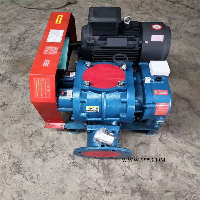 鑫沣XFSR-80 三叶罗茨曝气鼓风机图4