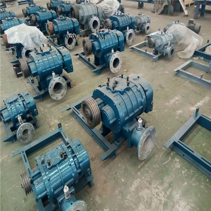 鑫沣XFSR-80 三叶罗茨曝气鼓风机图6