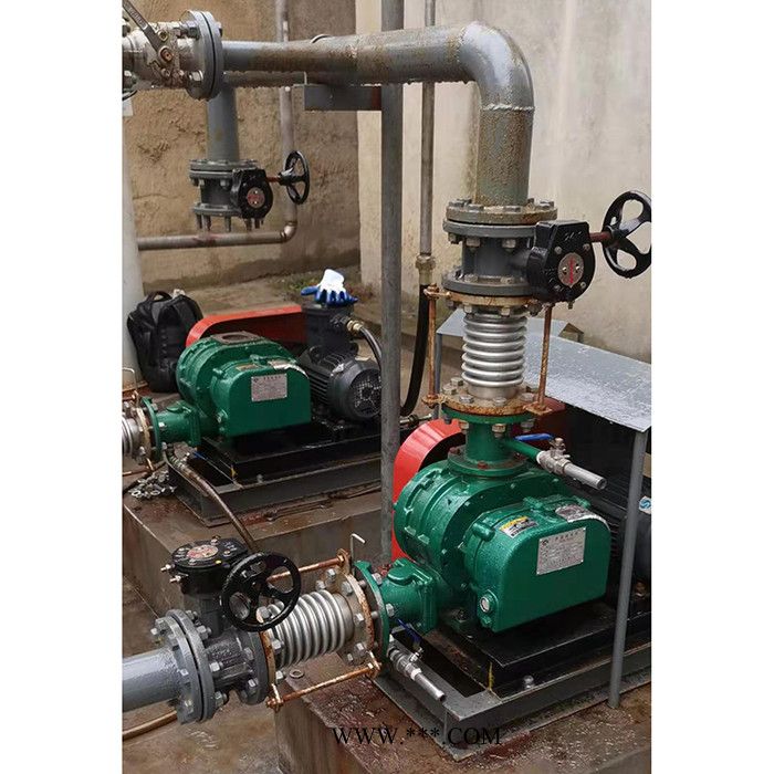 和立HLSR  鼓风机 不锈钢罗茨风机 三叶不锈钢罗茨风机 厂家现货图3