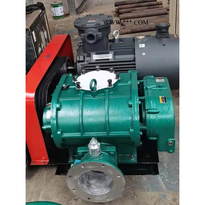 和立HLSR  鼓风机 不锈钢罗茨风机 三叶不锈钢罗茨风机 厂家现货图2