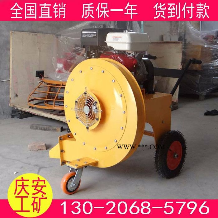 庆安QA-55 道路清理清扫吹风机 吹石子砖头鼓风机图3
