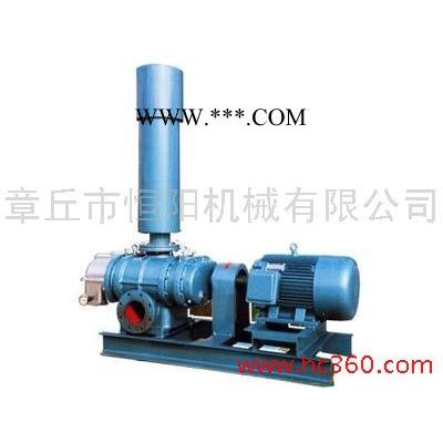 供应恒阳HYSR100厂家**低噪音罗茨鼓风机