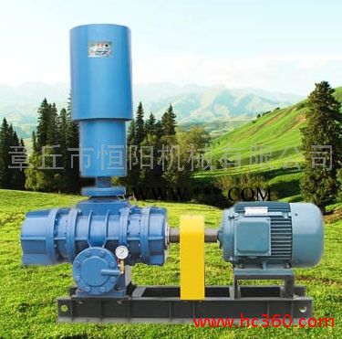 供应恒阳牌HYSR200H可以广泛应用的高压三叶罗茨鼓风机/罗茨风机.‘’图2