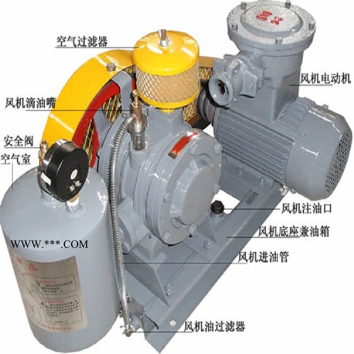 章丘风机厂家供应大风量回转风机污水处理高效率回转式鼓风机曝气风机**价廉欢迎选购图3