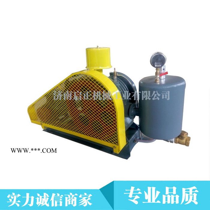 供应供HCC【50S回旋式鼓风机】济南启正厂价直销图3