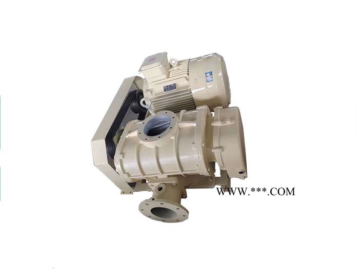 引持专业生产 罗茨风机 三叶罗茨风机  罗茨鼓风机 噪音低 强度高 寿命长图5