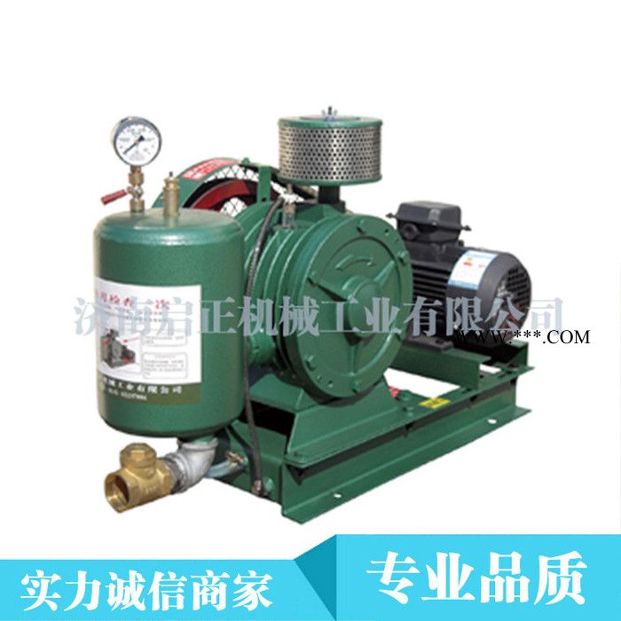 啓正低耗能污水处理回转式鼓风机  滑片风机 三叶罗茨风机图2