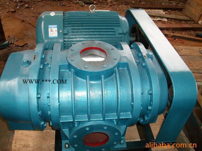常州市冬浩机械 公司专业生产不锈钢罗茨风机 三叶罗茨风机 负压罗茨鼓风机 二氧化硫化工专用**图3
