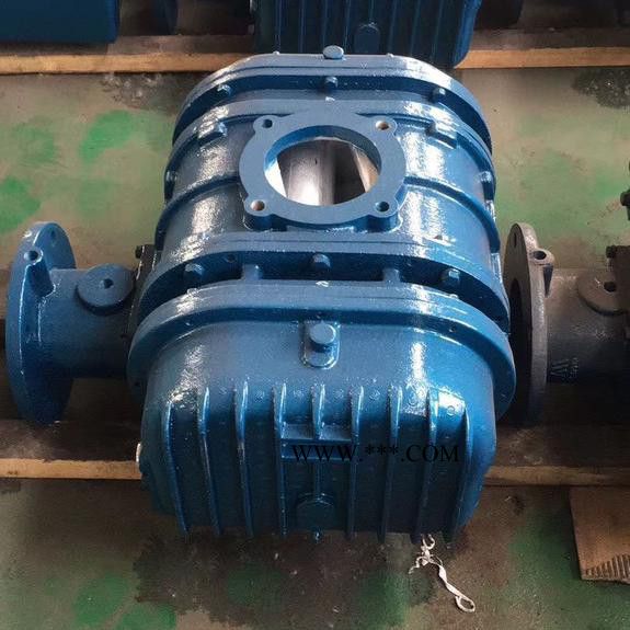 鑫沣 XFSR_125密集罗茨鼓风机图4