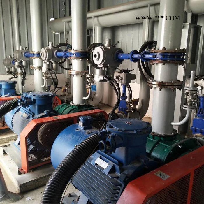 鑫沣 XFSR_125密集罗茨鼓风机图5