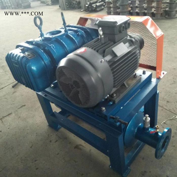 鑫沣 XFSR_125密集罗茨鼓风机图7