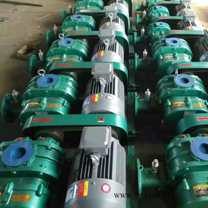 鑫沣 XFSR_125密集罗茨鼓风机图3