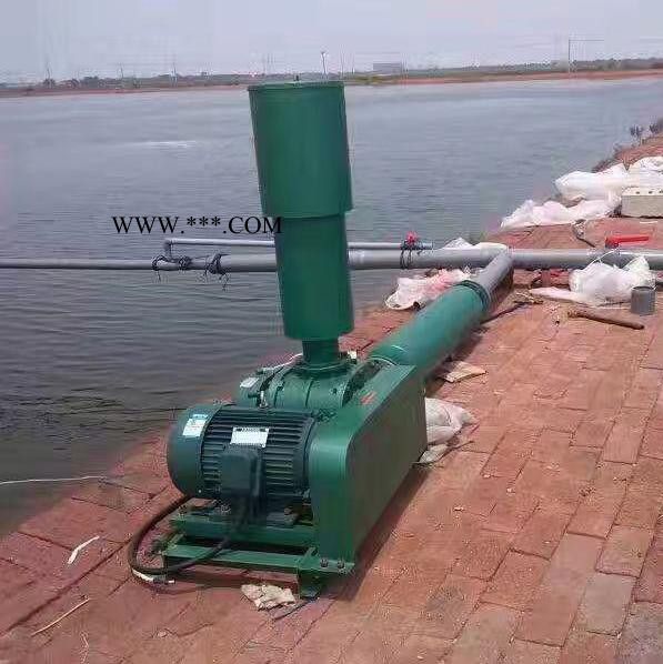 鑫沣 XFSR_125密集罗茨鼓风机图2