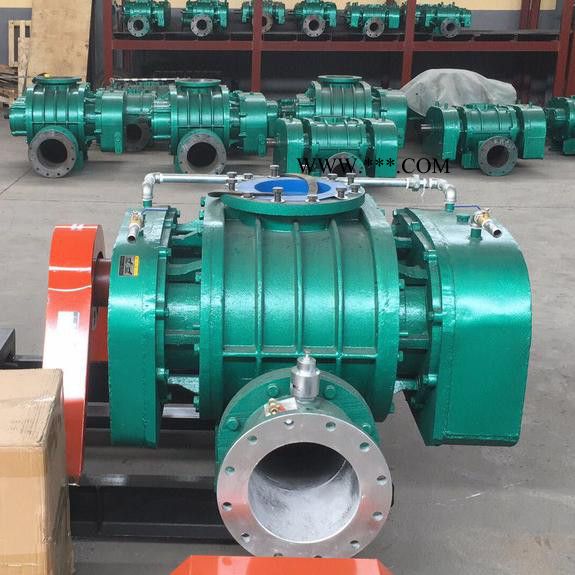 鑫沣 XFSR_125密集罗茨鼓风机图6