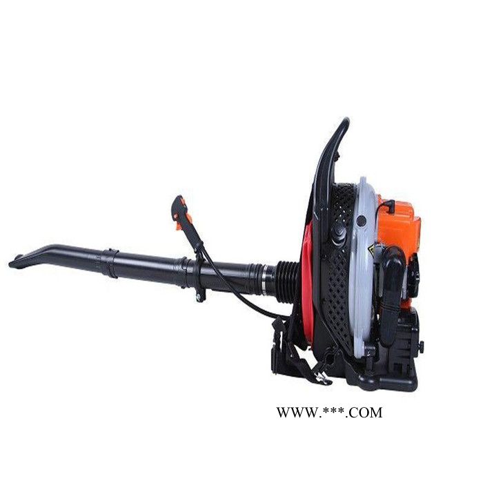 背负式强劲风力吹叶机 汽油动力背负式鼓风机马路吹灰机 二四冲程背负式多用鼓风机 小型深林风力灭火机图7