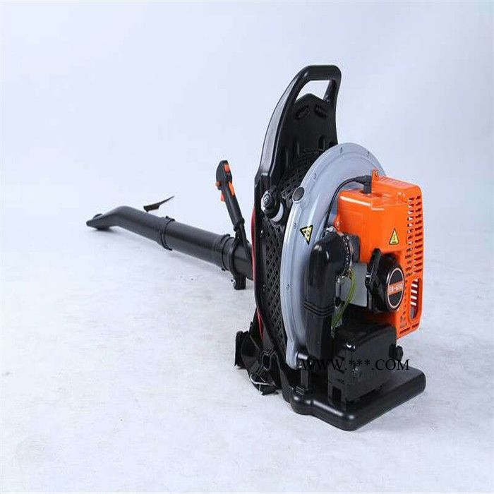 背负式强劲风力吹叶机 汽油动力背负式鼓风机马路吹灰机 二四冲程背负式多用鼓风机 小型深林风力灭火机图3