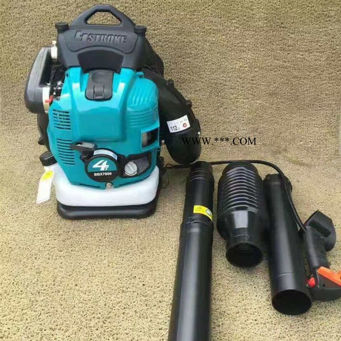 背负式强劲风力吹叶机 汽油动力背负式鼓风机马路吹灰机 二四冲程背负式多用鼓风机 小型深林风力灭火机图4