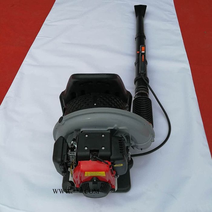 背负式强劲风力吹叶机 汽油动力背负式鼓风机马路吹灰机 二四冲程背负式多用鼓风机 小型深林风力灭火机图6