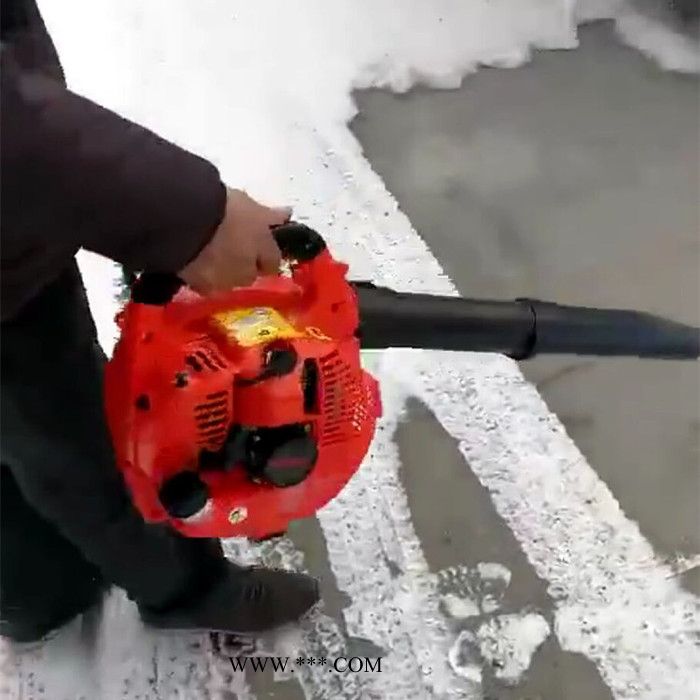 背负式强劲风力吹叶机 汽油动力背负式鼓风机马路吹灰机 二四冲程背负式多用鼓风机 小型深林风力灭火机图8