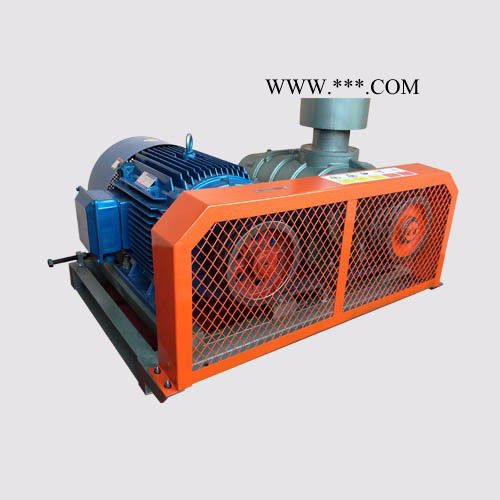 YGSR-100A罗茨鼓风机  罗茨风机厂家  罗茨风机维修图2