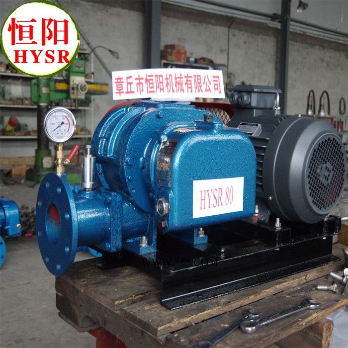 供应恒阳罗茨三叶罗茨鼓风机，图3