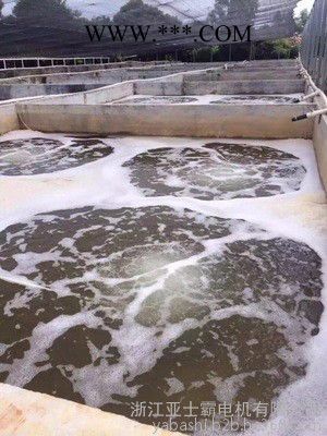 5500W亚士霸 高压旋涡增氧泵鼓风机 漩涡风机5.5KW图8