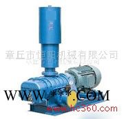 明阳牌 厂家专业定制加工 HYSR50-300 主要用于污水处理*水产养殖*气力输送的罗茨风机*鼓风机*真空泵，图2