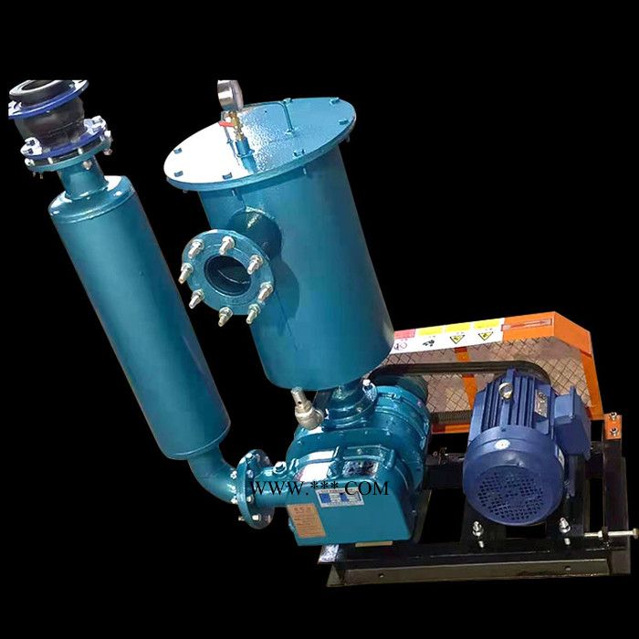 佰禾 罗茨风机 罗茨真空泵 专用鼓风机 型号齐全 经久耐用图4