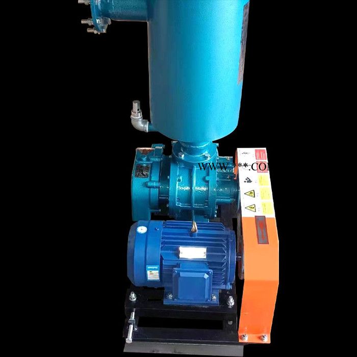 佰禾 罗茨风机 罗茨真空泵 专用鼓风机 型号齐全 经久耐用图2