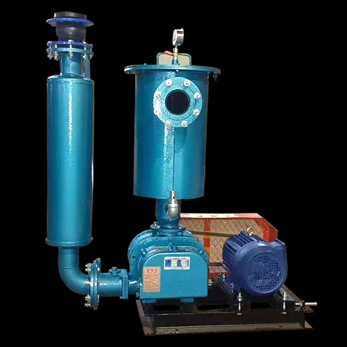 佰禾 罗茨风机 罗茨真空泵 专用鼓风机 型号齐全 经久耐用图5