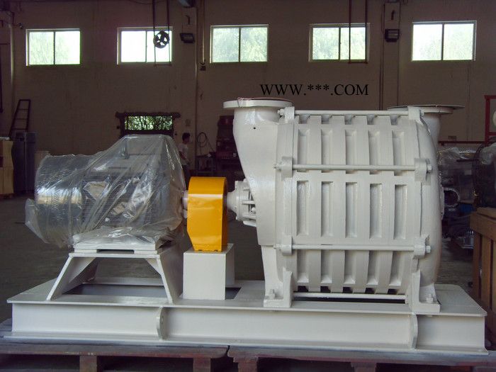 多级离心罗茨鼓风机  沉水式鼓风机   鲁氏鼓风机  罗茨鼓风机图2