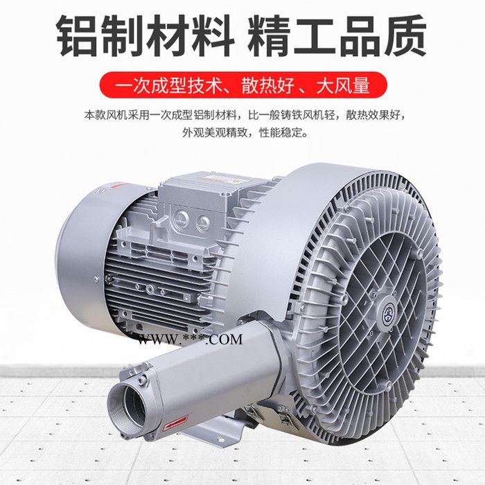 RB-72S-1/2.2kw测流双段高压鼓风机 工厂直供双叶轮高压旋涡气泵图7