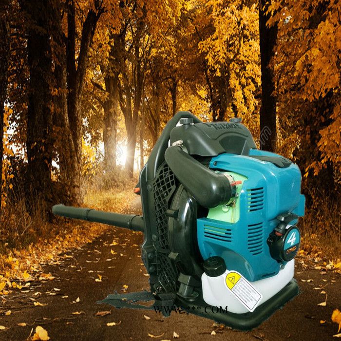 新家清理吹尘机 庭院清理垃圾吹叶机 佳鑫牌鼓风机吹落叶图6