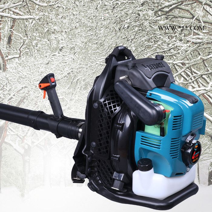 新家清理吹尘机 庭院清理垃圾吹叶机 佳鑫牌鼓风机吹落叶图8