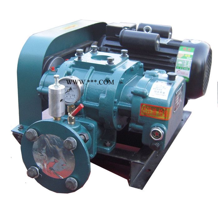 供应水泥厂CCR300 罗茨鼓风机 水泥厂CCR300图3