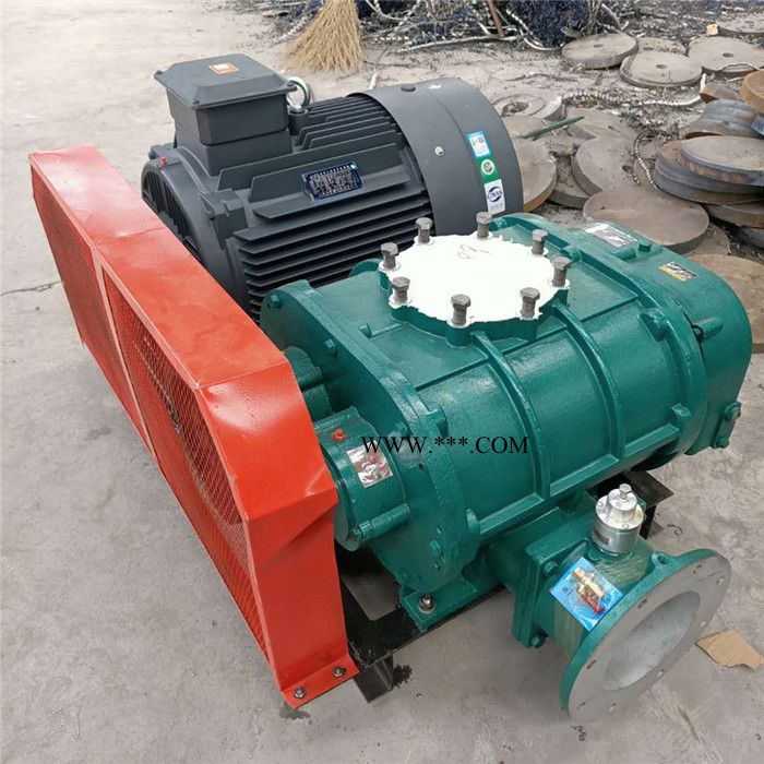 鑫沣XFSR-65 罗茨风机 三叶罗茨鼓风机 ** 三叶罗茨风机 水产养殖风机易维护图5