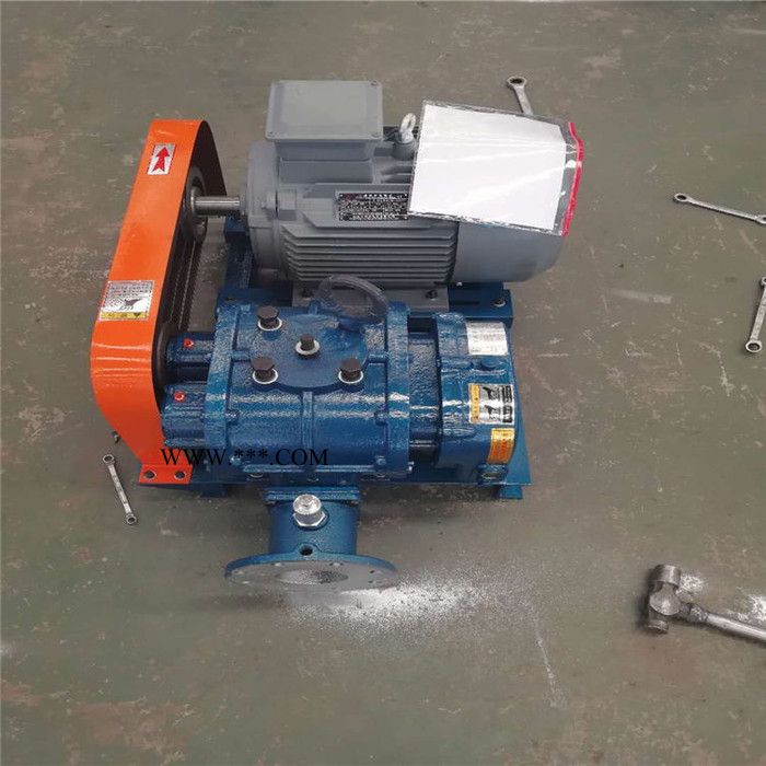 鑫沣XFSR-65 罗茨风机 三叶罗茨鼓风机 ** 三叶罗茨风机 水产养殖风机易维护图4