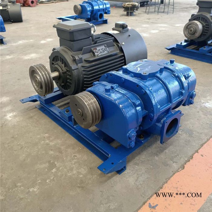 鑫沣XFSR-65 罗茨风机 三叶罗茨鼓风机 ** 三叶罗茨风机 水产养殖风机易维护图6