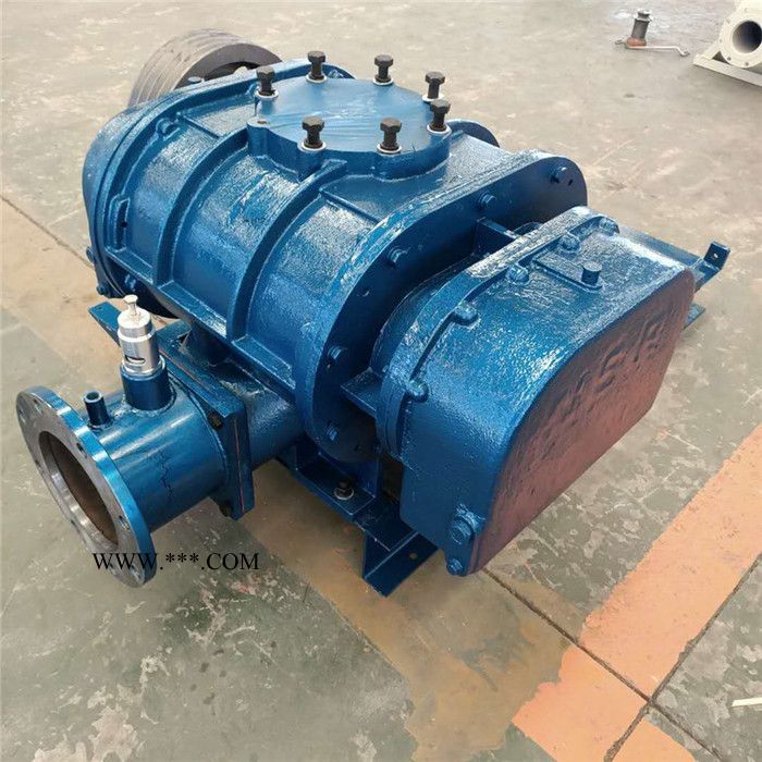 鑫沣XFSR-65 罗茨风机 三叶罗茨鼓风机 ** 三叶罗茨风机 水产养殖风机易维护图7