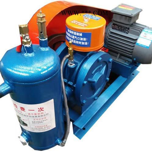 鑫沣 大功率罗茨鼓风机 厂家定制 全国供应图2