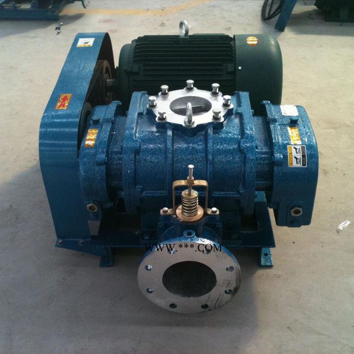 鑫沣 大功率罗茨鼓风机 厂家定制 全国供应图4