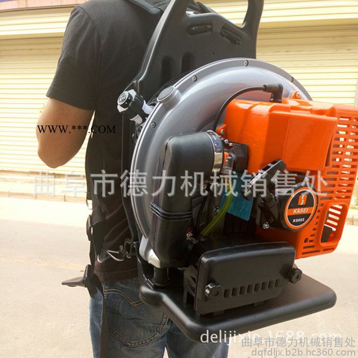 **多用途吹尘鼓风机 大棚吹雪机背负式路面吹风机图4