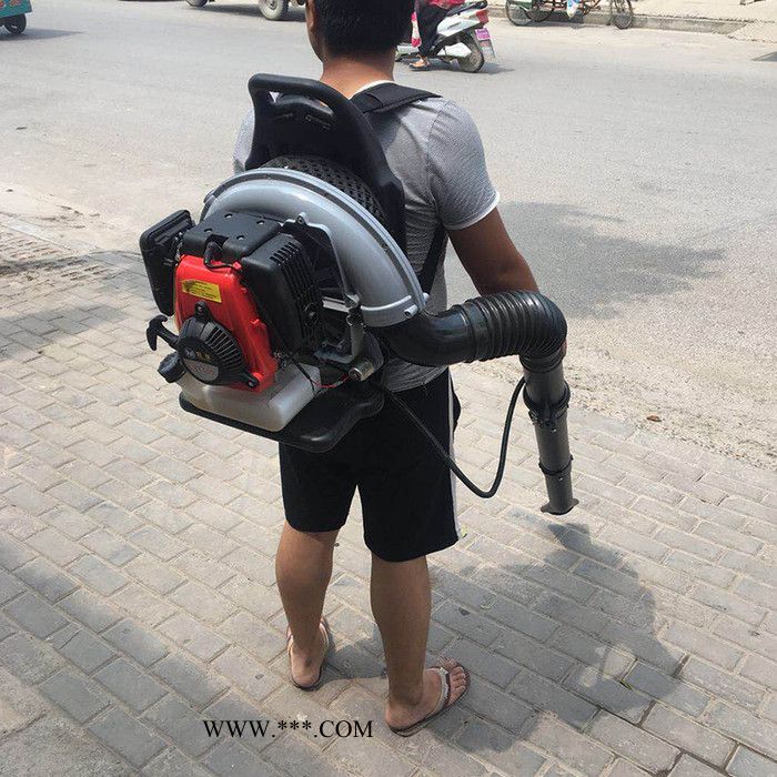 马路汽油式吹风机森林灭火器工程鼓风机吹风机背负式汽油吹风机图5