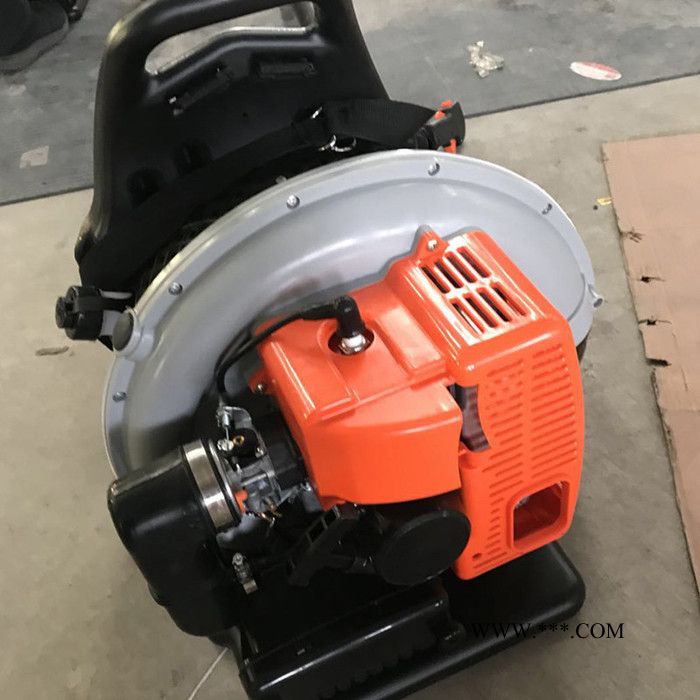 马路汽油式吹风机森林灭火器工程鼓风机吹风机背负式汽油吹风机图2