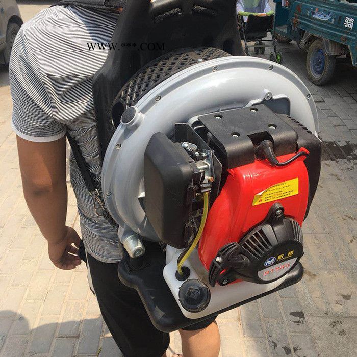 马路汽油式吹风机森林灭火器工程鼓风机吹风机背负式汽油吹风机图4