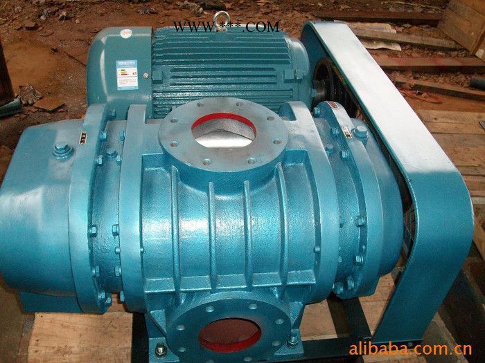 常州市冬浩机械 ** 耐高温罗茨风机 耐高压罗茨风机 鼓风机 排风设备 常州市冬浩机械图5