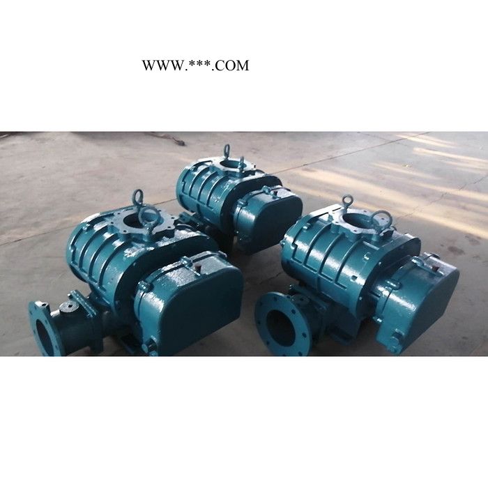 金翊牌JYSR250A罗茨风机 熔喷布设备专用风机 罗茨鼓风机 三叶罗茨鼓风机 污水处理风机图8